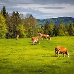 Vorderreithbauer * Hof bei Salzburg