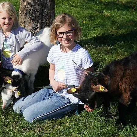 Vorderreithbauer Апартаменты