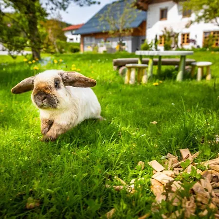 Апартаменты Vorderreithbauer *