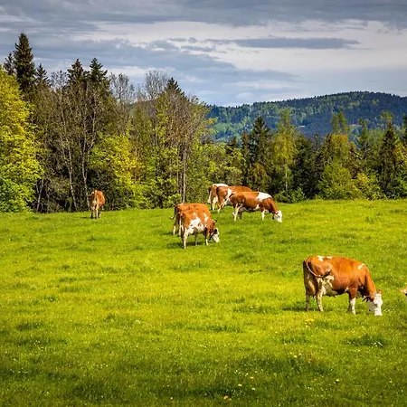 Vorderreithbauer * Hof bei Salzburg