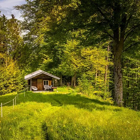 Vorderreithbauer Apartment