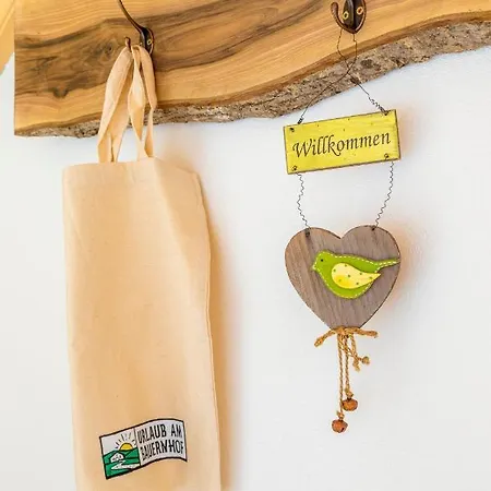 Vorderreithbauer Апартаменты Хоф у Зальцбурга