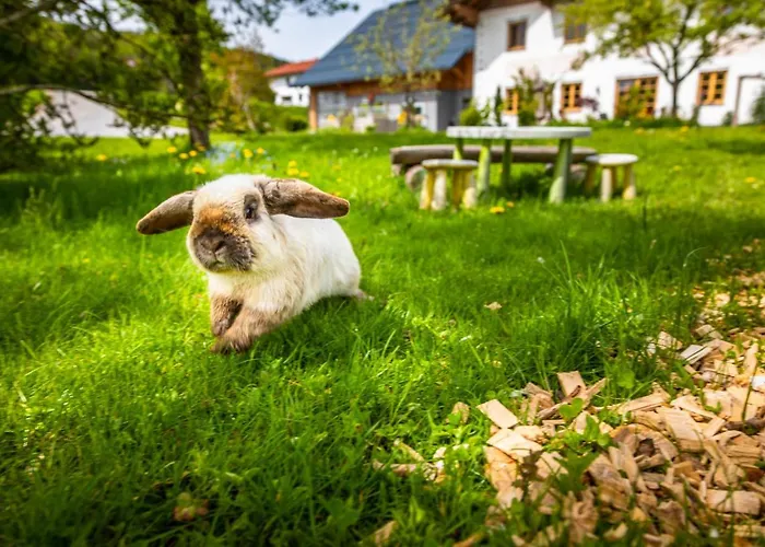 Lägenhet Vorderreithbauer *