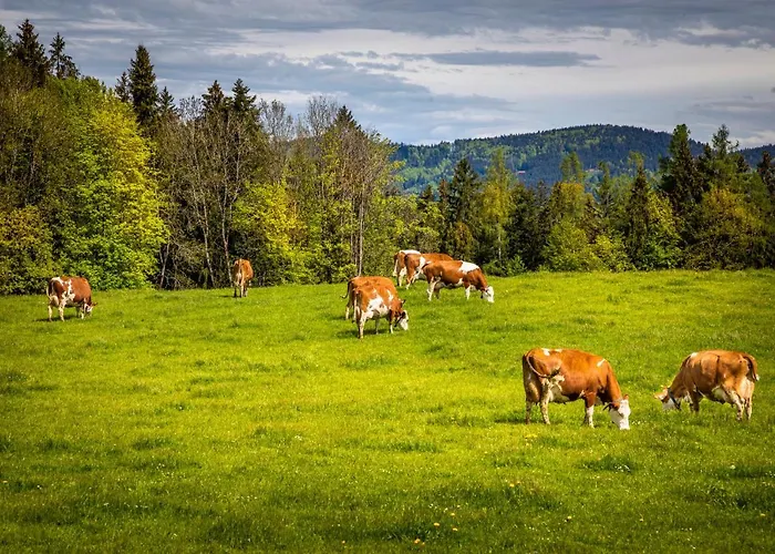 Vorderreithbauer * Hof bei Salzburg