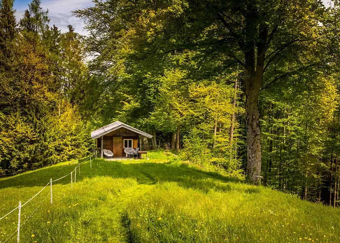 Vorderreithbauer Apartment