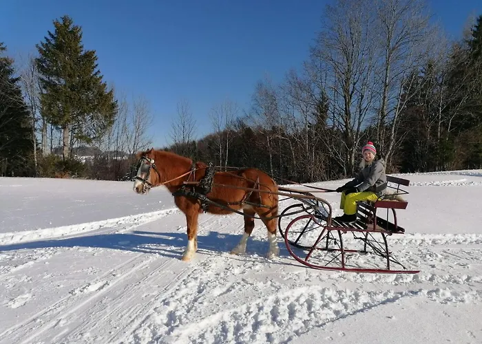 Vorderreithbauer Apartment